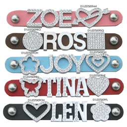 Dekoration för namnhalsbandet i large